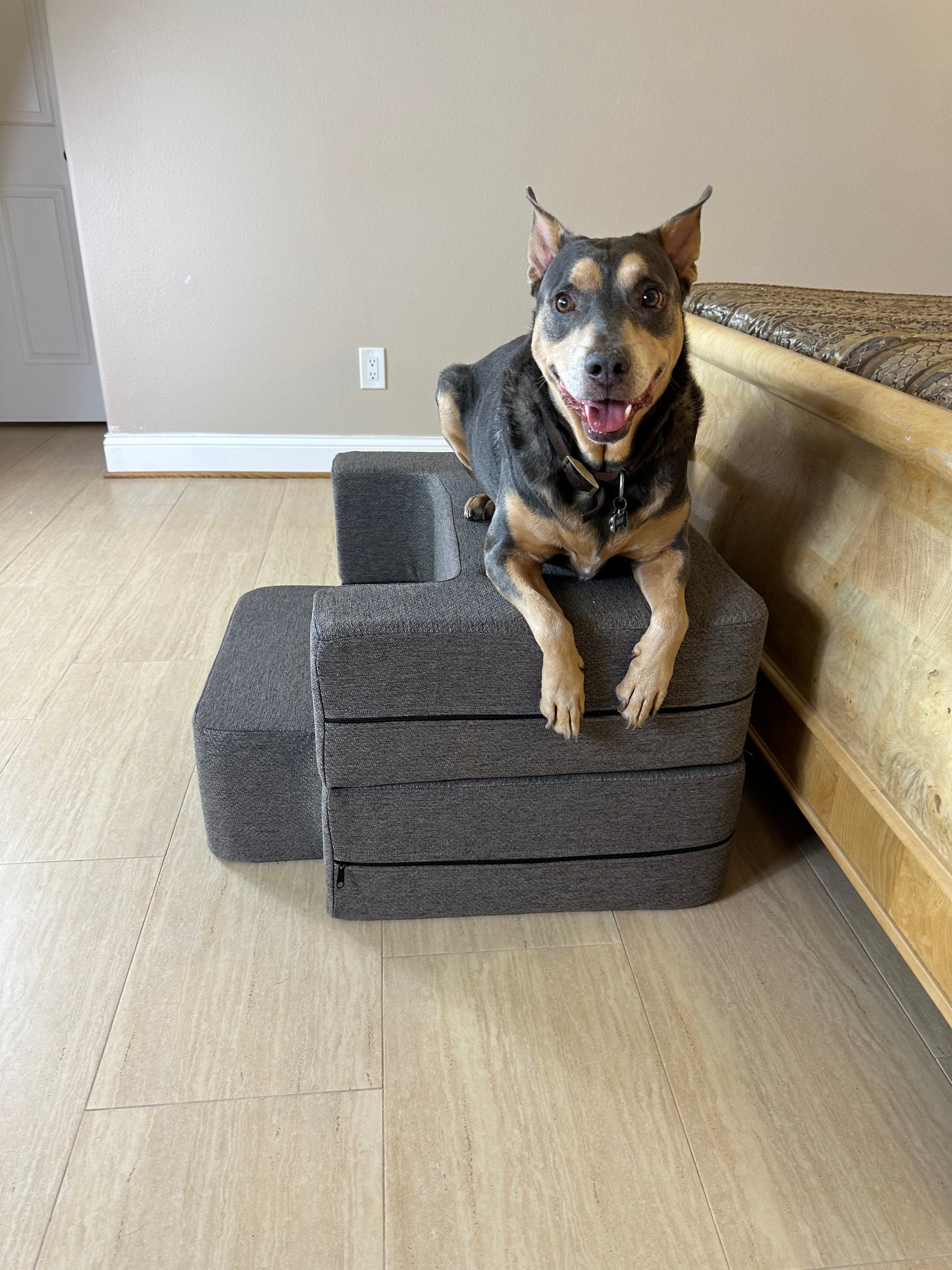 Big Buddy Booster 9.0 - 2 Step   Steps or Stairs for Big or Large Dogs