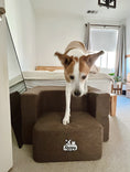 Load image into Gallery viewer, Big Buddy Booster 9.0 - 2 Step Steps or Stairs for Big or Large Dogs Without Luxury Bed Topper