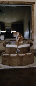Load image into Gallery viewer, Big Paw - Step and Bed for Large Dogs