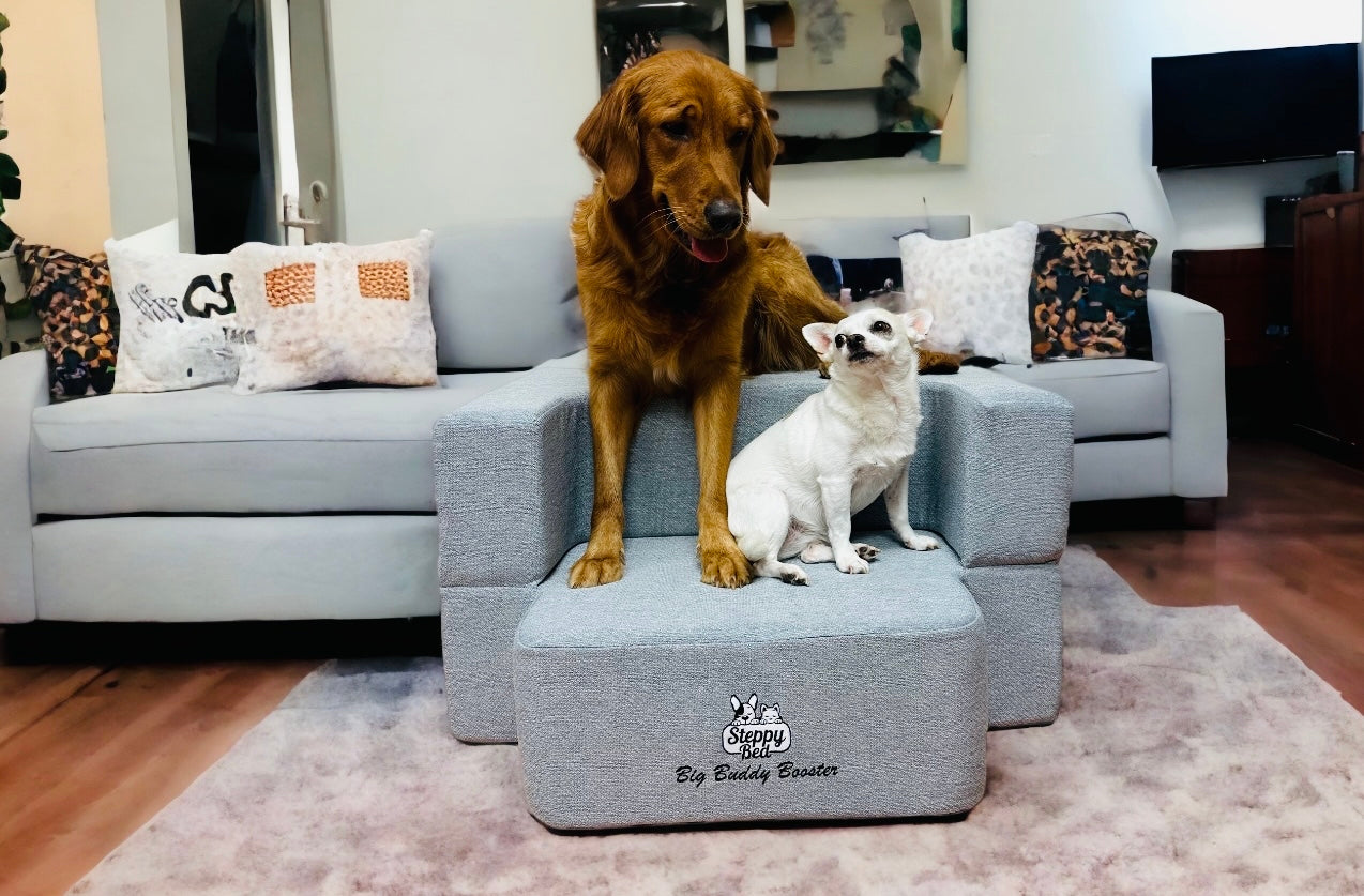Big Buddy Booster 9.0 - 2 Step   Steps or Stairs for Big or Large Dogs