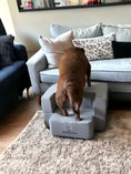Load image into Gallery viewer, Big Buddy Booster 9.0 - 2 Step   Steps or Stairs for Big or Large Dogs