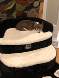 Load image into Gallery viewer, Steppy Bed 5.5 - 3 Step Paw Steps and Bed for Dogs and Cats