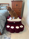 Load image into Gallery viewer, Big Paw - Step and Bed for Large Dogs