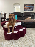 Load image into Gallery viewer, Big Paw - Step and Bed for Large Dogs