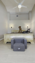 Load and play video in Gallery viewer, Big Buddy Booster 9.0 - 2 Step   Steps or Stairs for Big or Large Dogs