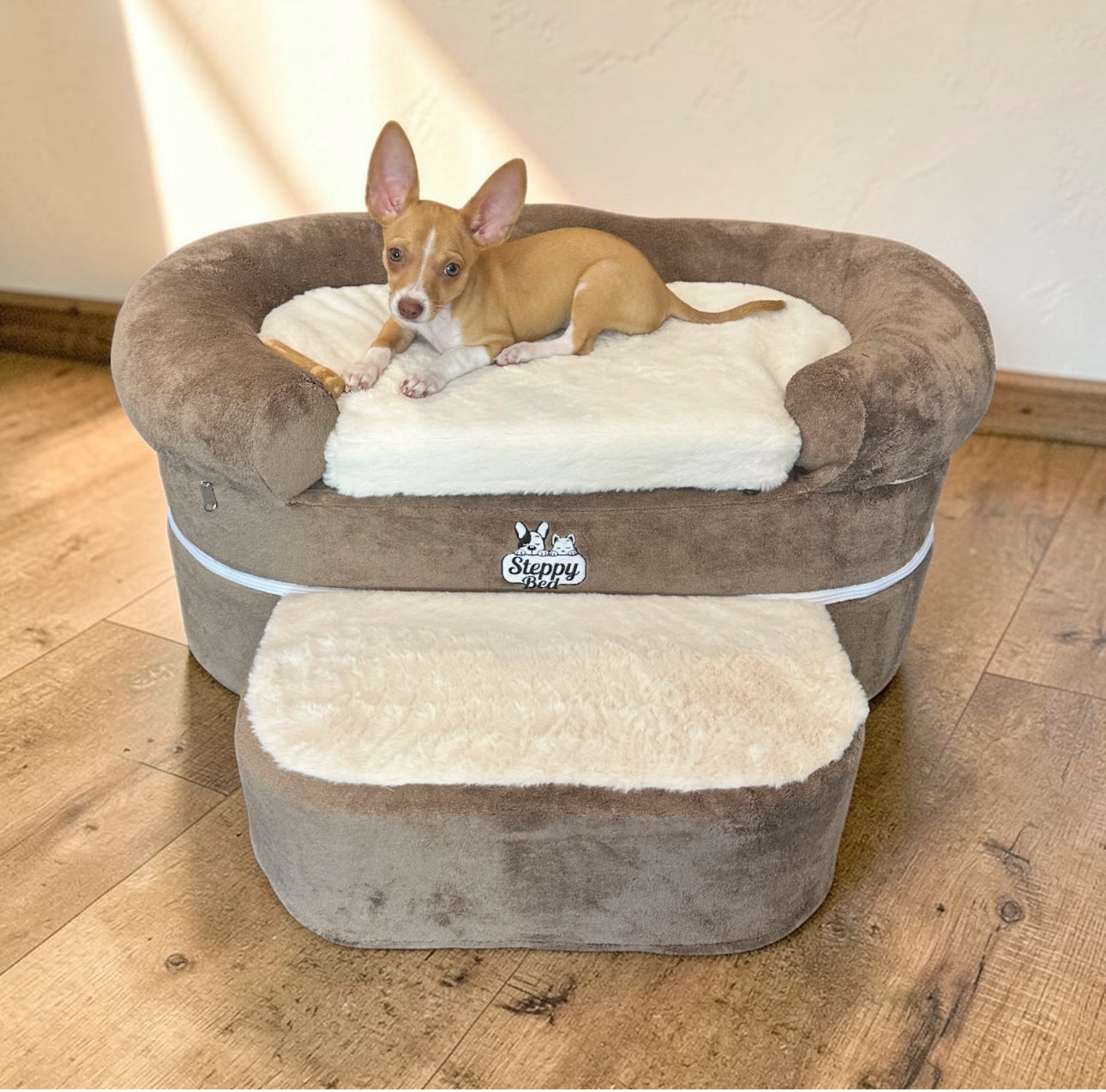 How to Choose Raised Pet Beds That Truly Support