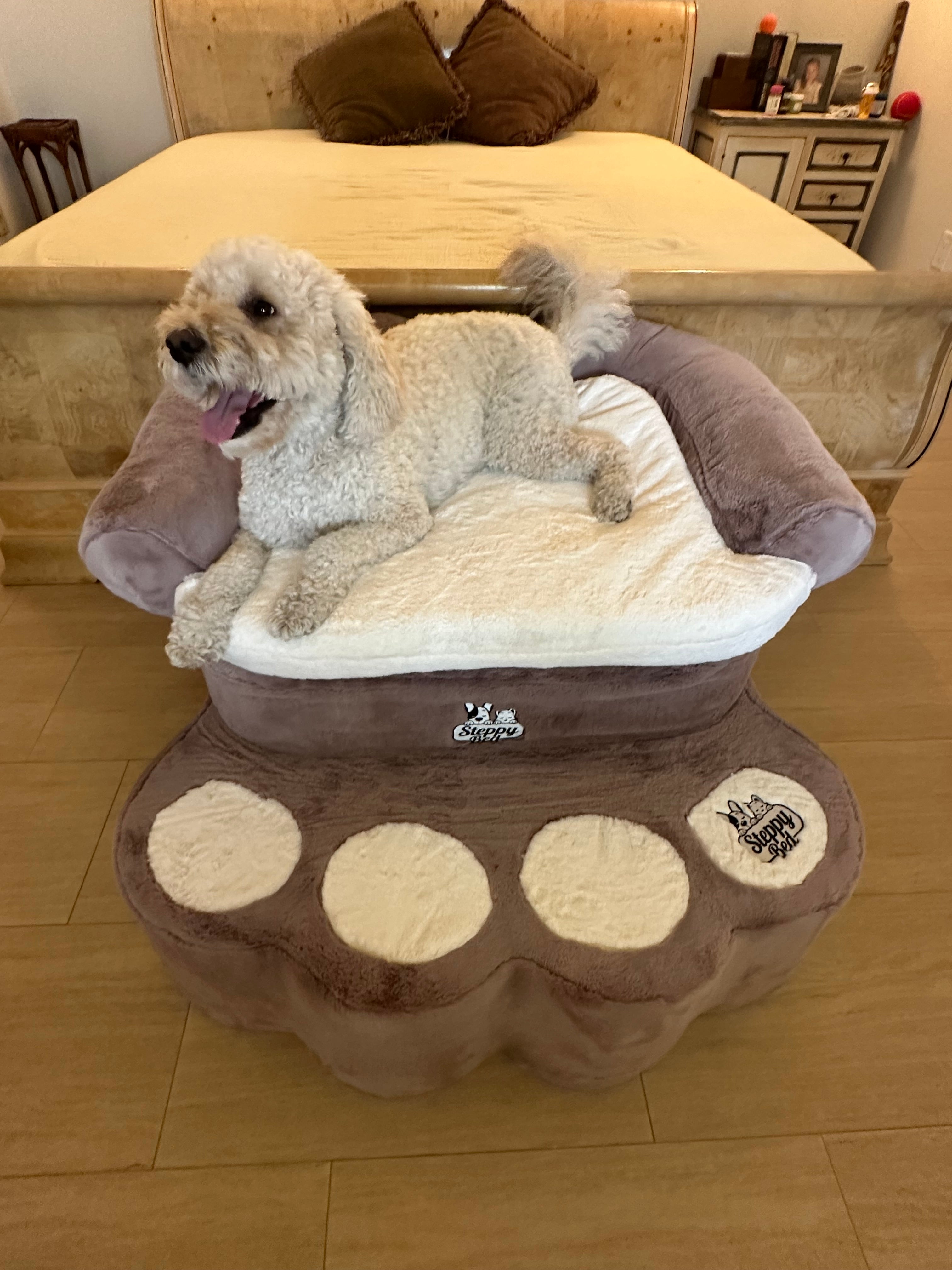 Dog Stairs for Medium Dogs That Fit Right