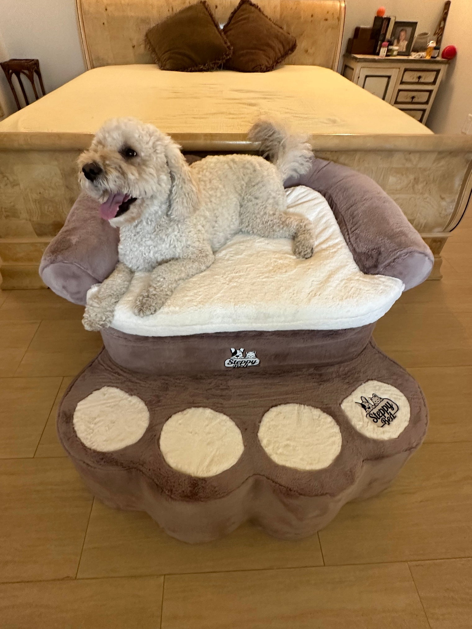Dog Stairs for Medium Dogs That Fit Right