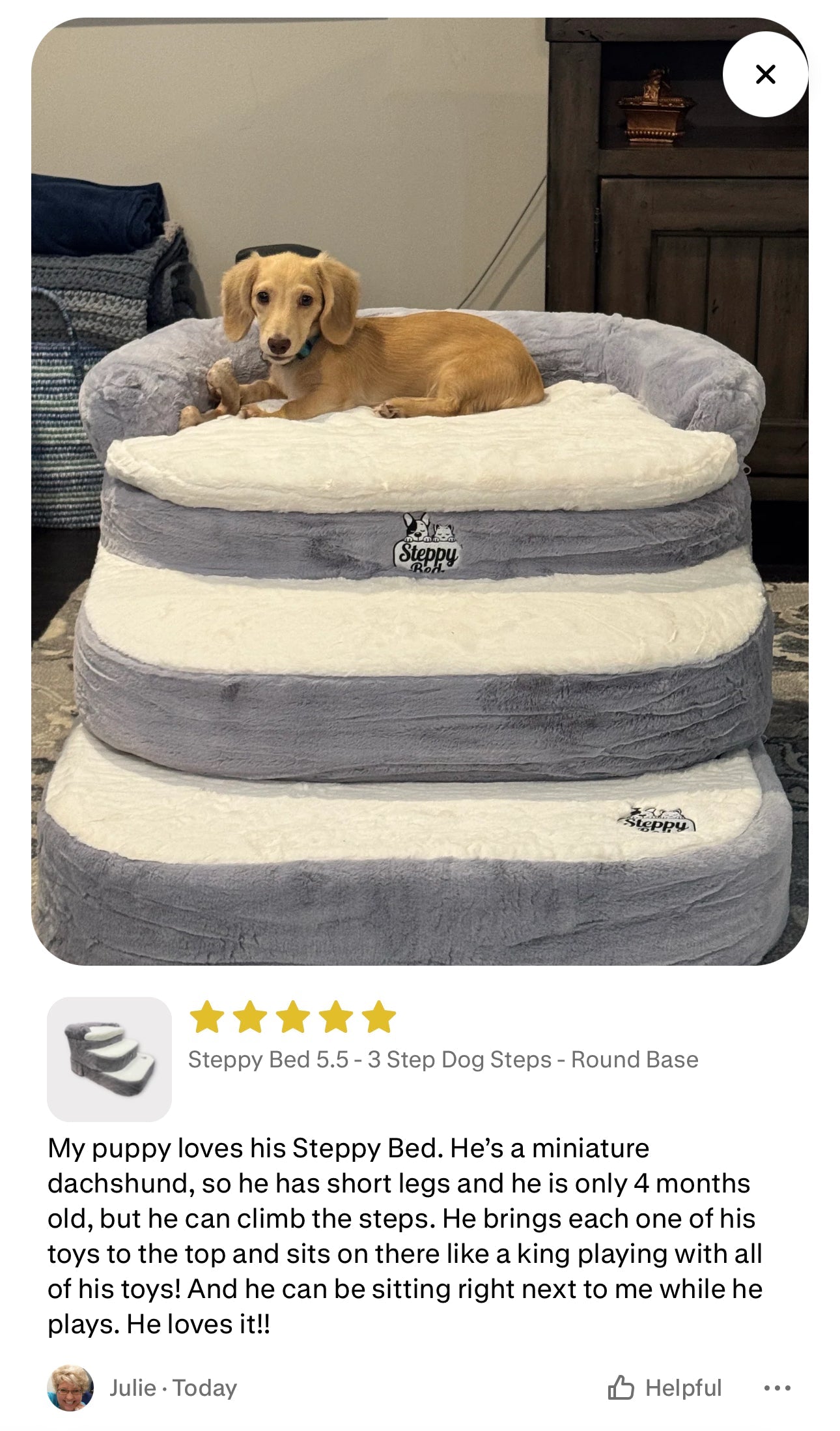 Dog Stair Height: How to Get a Safer Fit