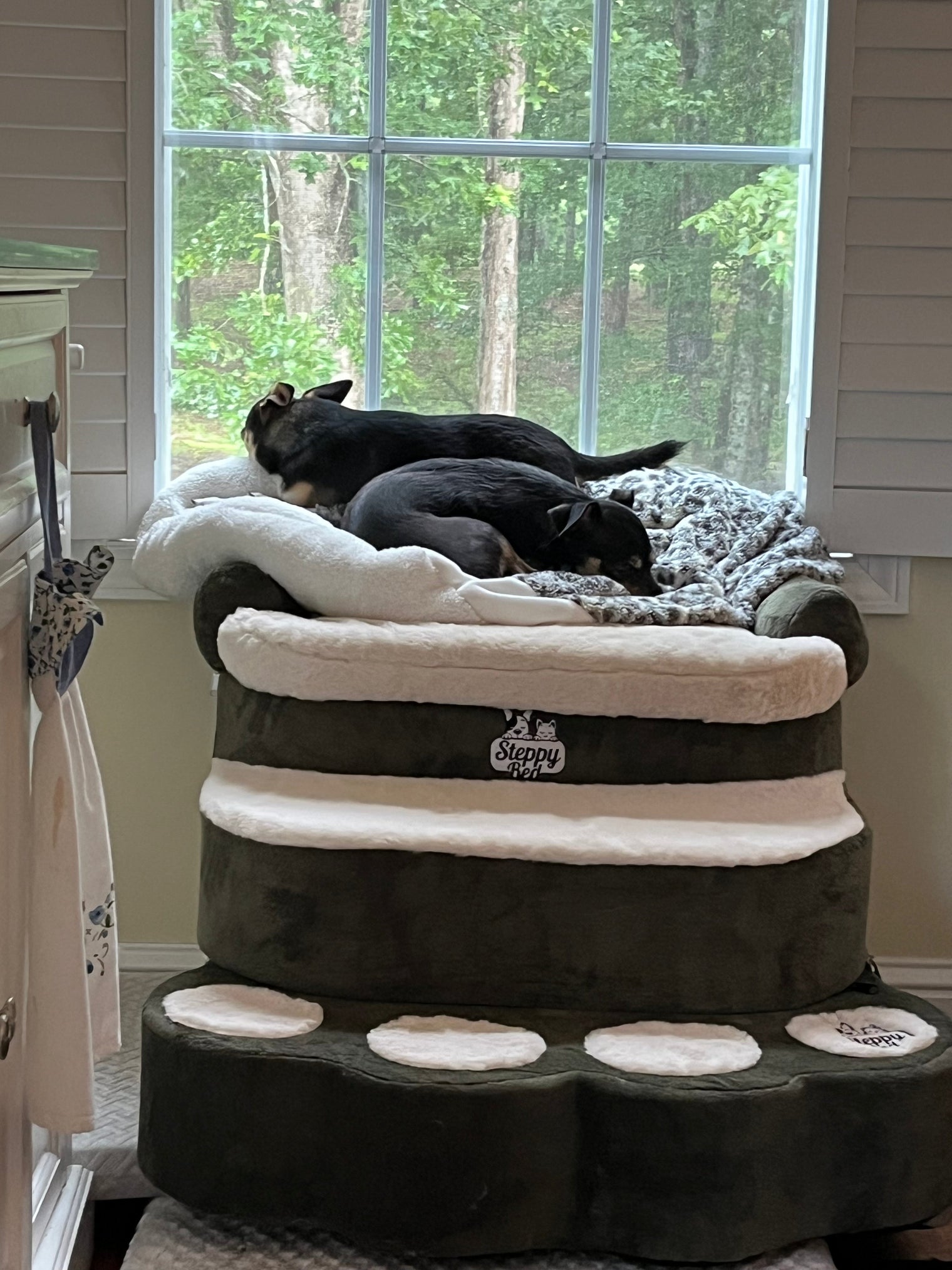 Elevated Dog Bed Window Perch: Is It Worth It?