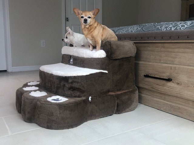 Dog Stairs for Senior Dogs That Help