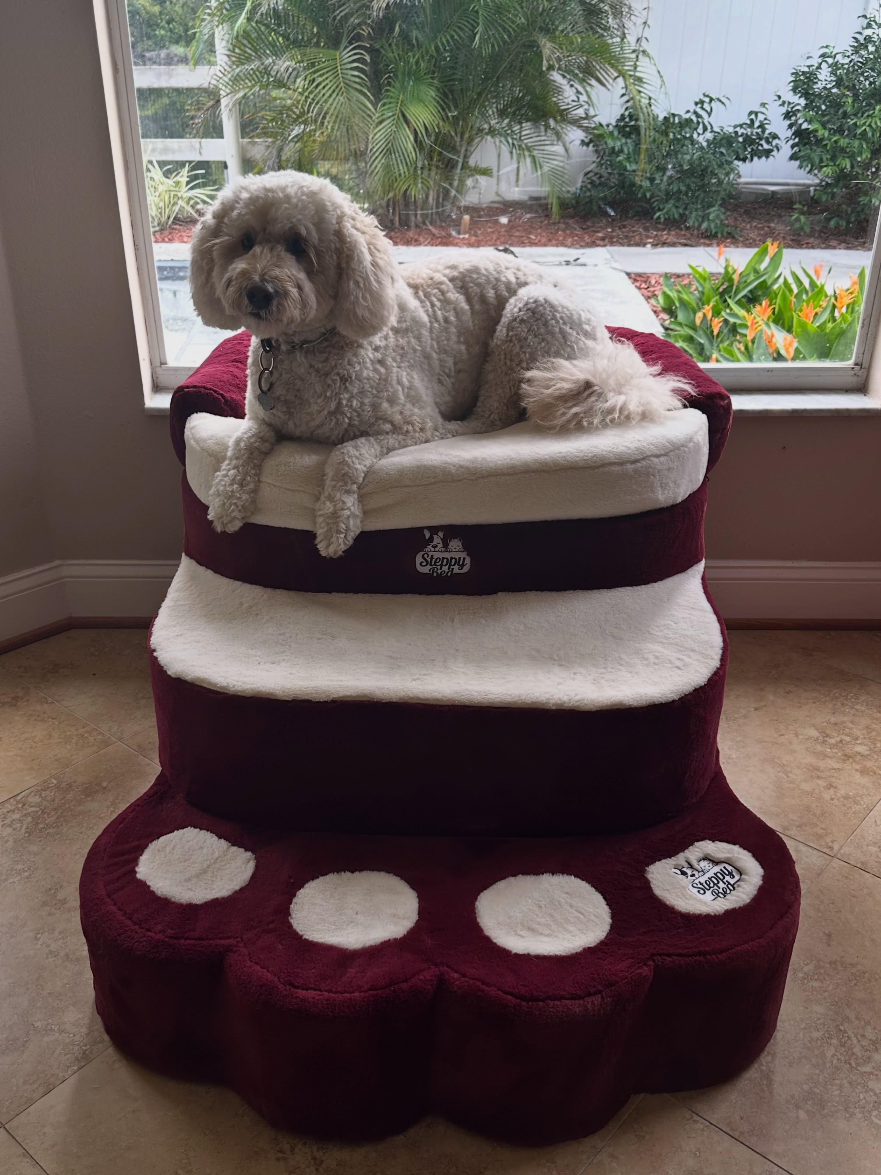 What Makes Pet Steps Stable? A Safety Guide