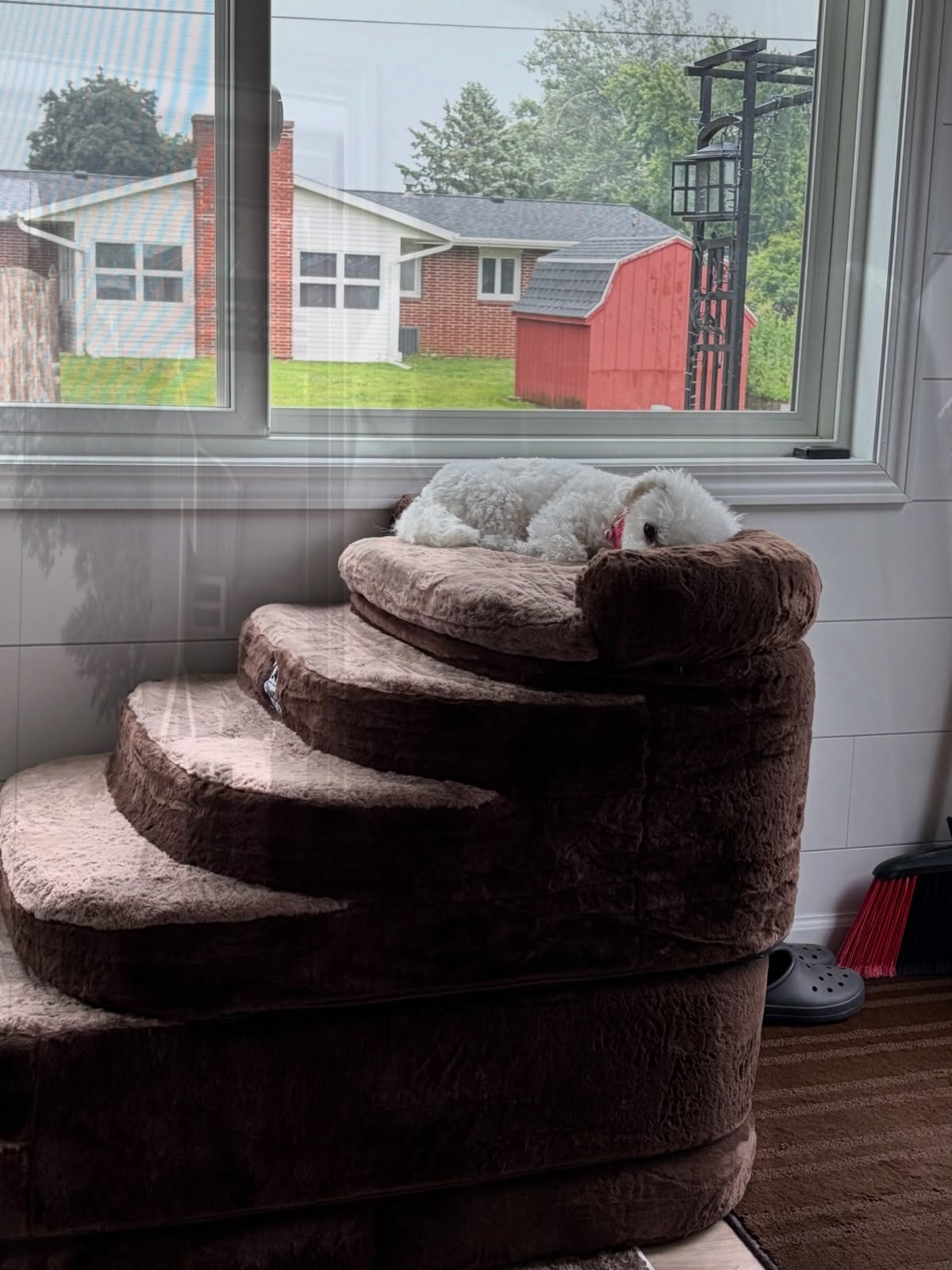 Dog Step Placement for Safer Daily Access
