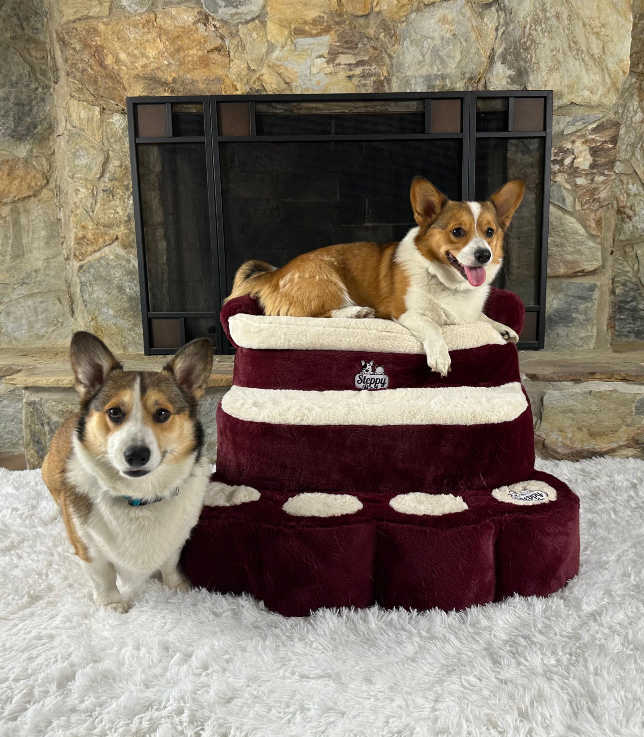 Steppy Bed - Steps/ Stairs for Small to Medium Sized Dogs and Cats