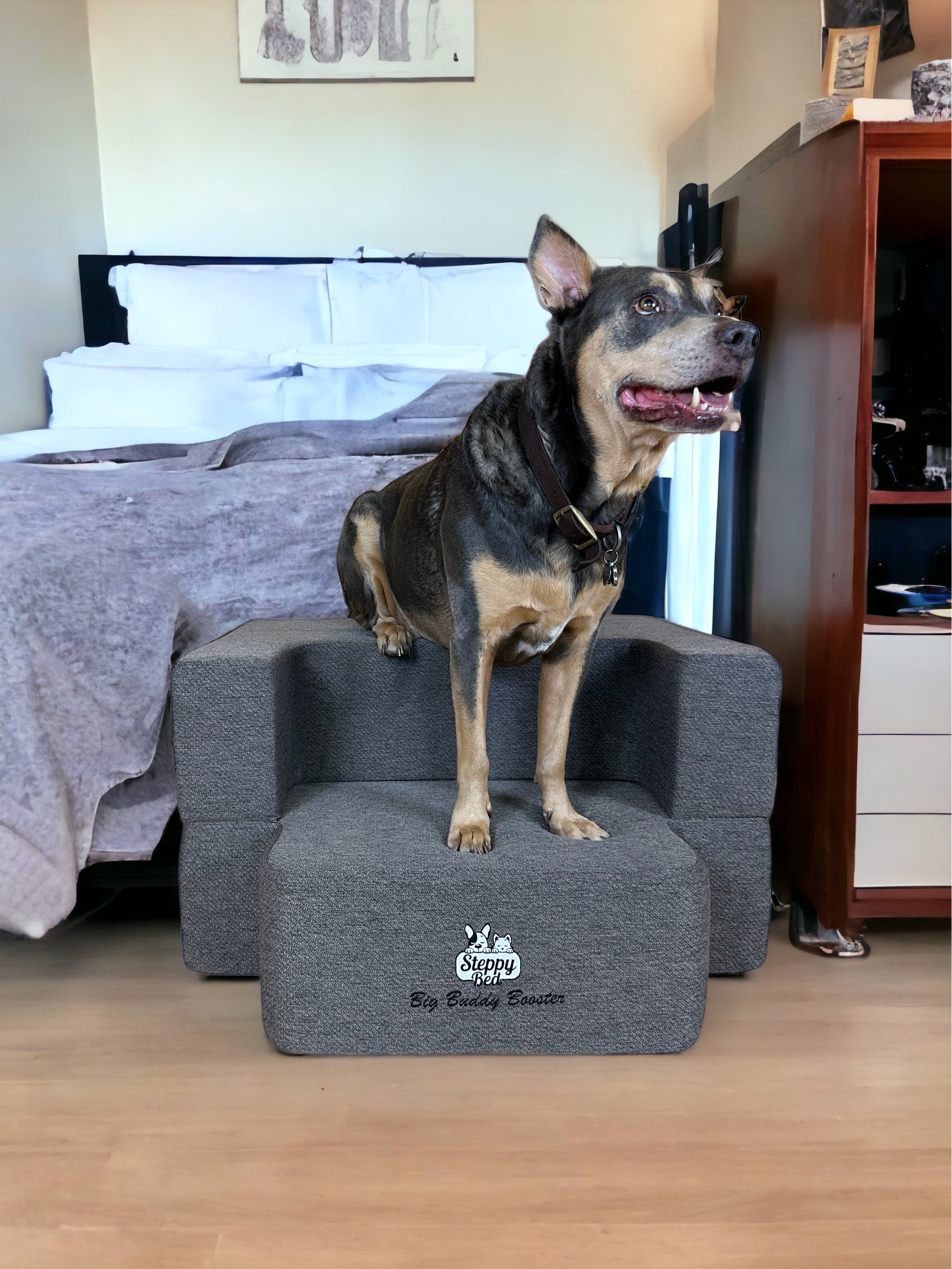 Big Buddy Booster - Steps / Stairs for Medium to Large Dogs – Steppy Bed