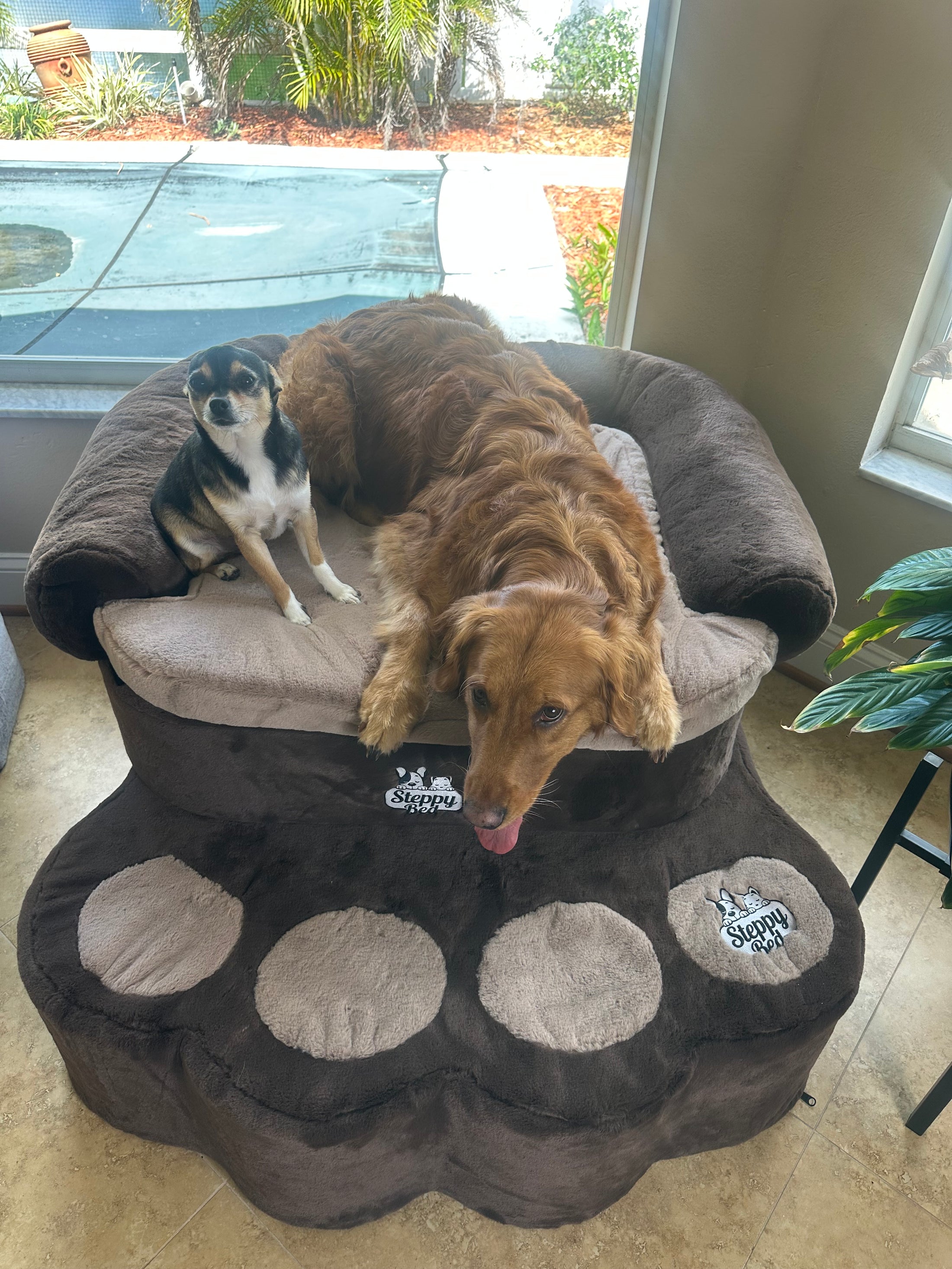 Big Paw - Step and Bed for Large Dogs