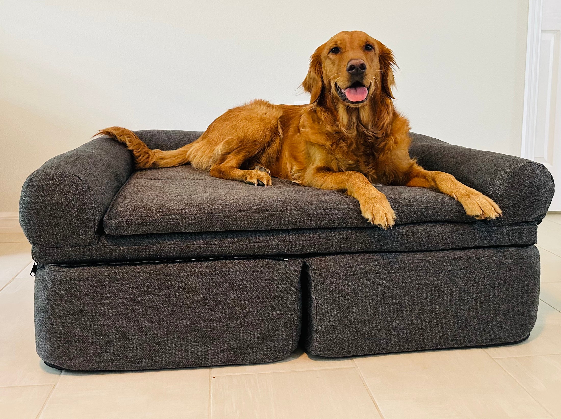 Preorder now Big Buddy Booster 2 step