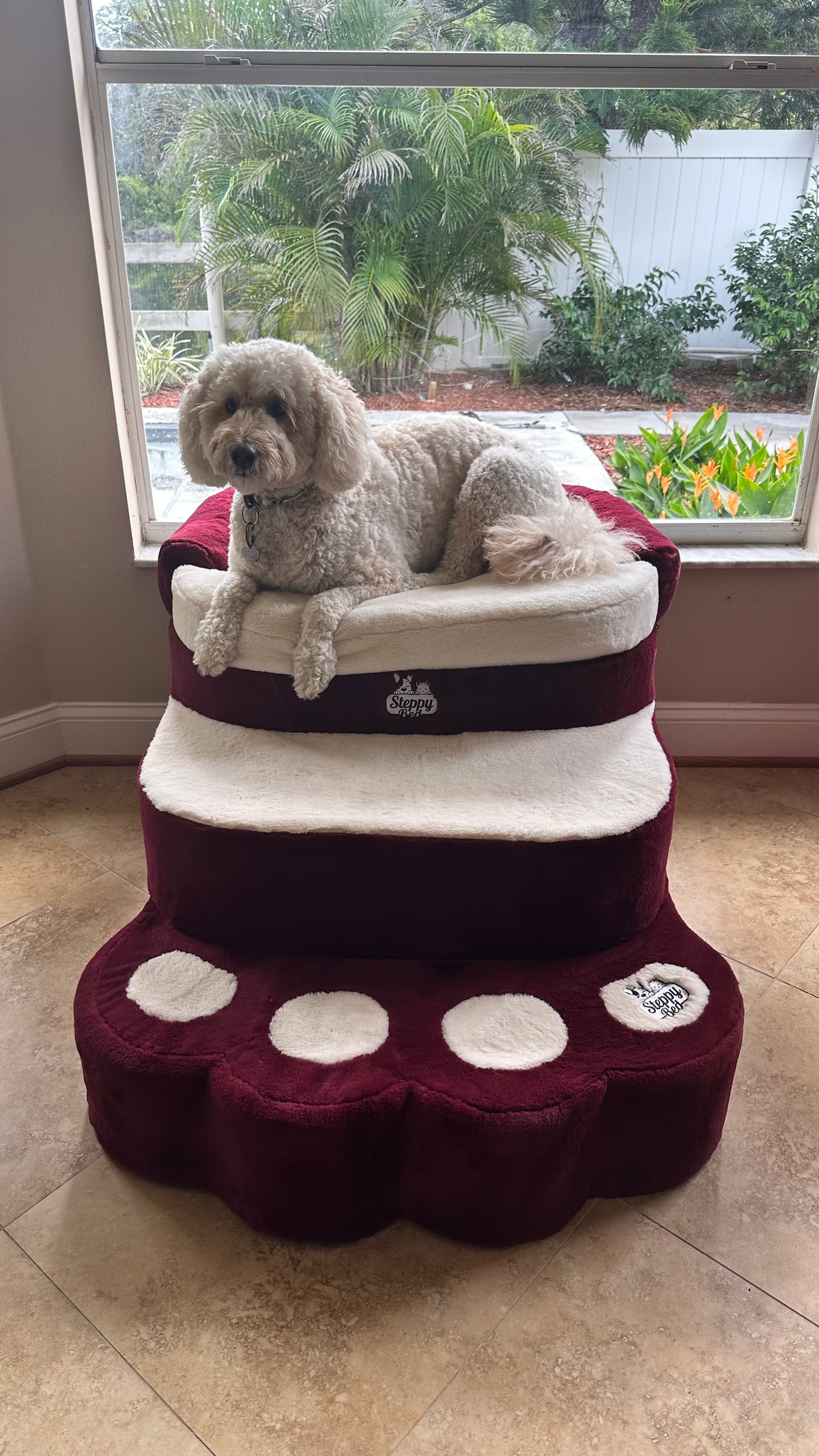 Big Paw Jr 7.5