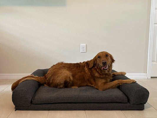 Bed Topper For 2 or 3 Step Big Buddy Booster