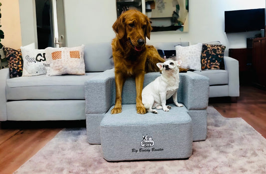 Preorder now Big Buddy Booster 2 step