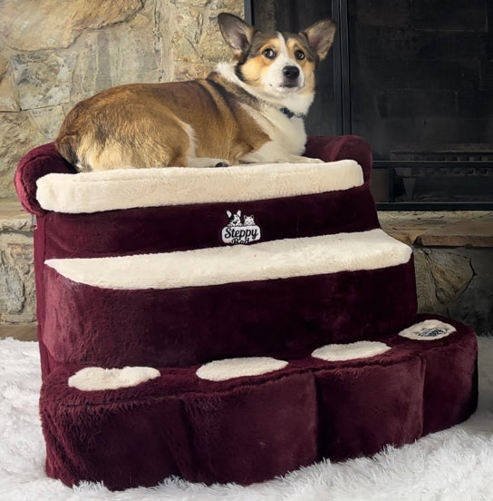 Dog Stairs, Ramps Beds Steppy Bed – Pet Steps Perches