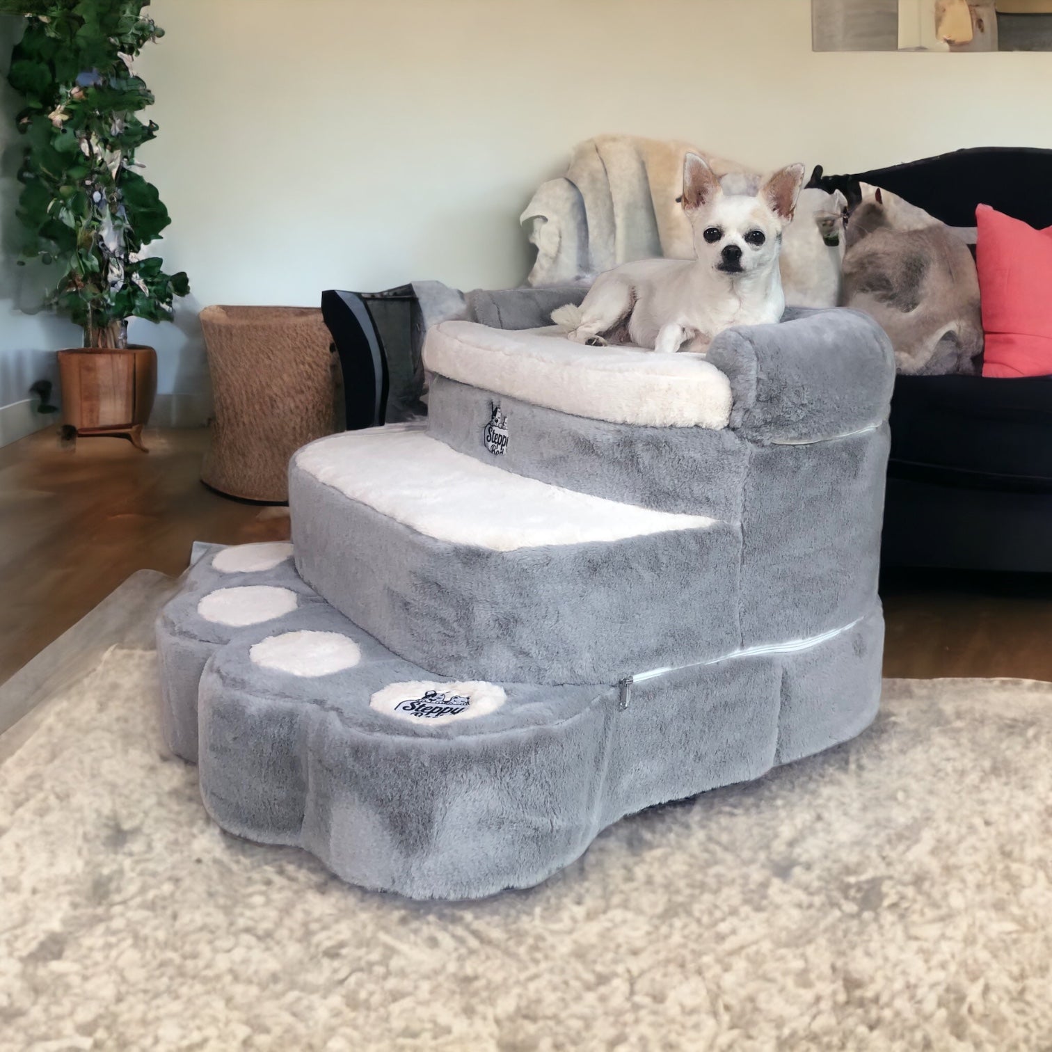 Best Dog Stairs for Bed , Couch, or Window Perch – Steppy Bed