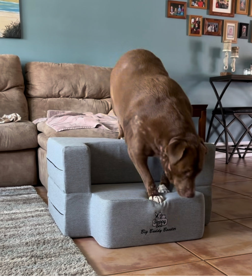 Big Buddy Booster 9.0 - 2 Step Steps or Stairs for Big or Large Dogs W ...