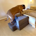 Load image into Gallery viewer, Doggy Long Legs- Steps with Bed for VERY Large Dogs
