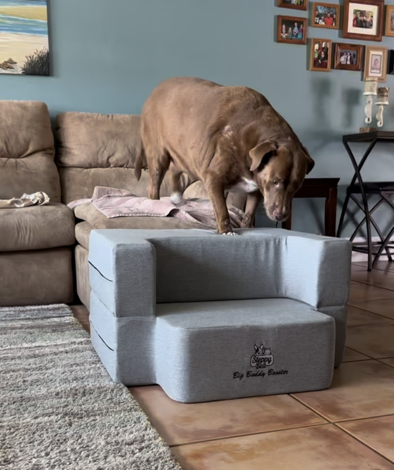 Preorder now Big Buddy Booster  2 Step -WITHOUT LUXURY BED TOPPER