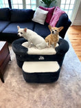 Load image into Gallery viewer, Buddy Lounger
