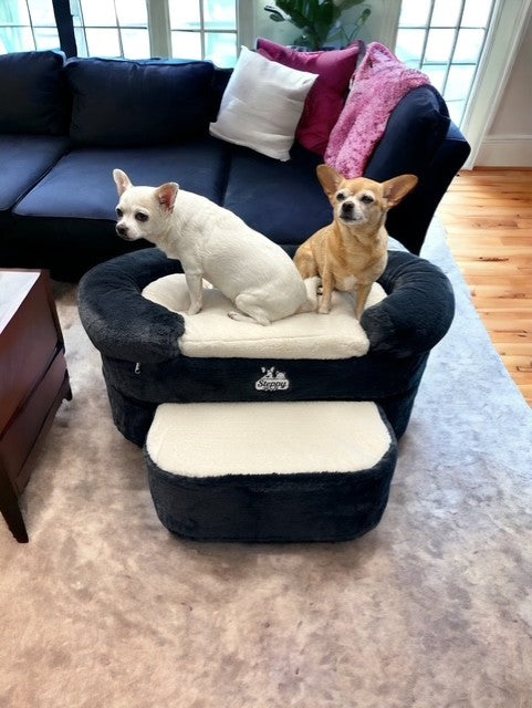 Buddy Lounger
