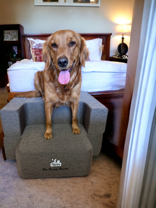 Big Buddy Booster 9.0 - 2 Step   Steps or Stairs for Big or Large Dogs - WITHOUT BED TOPPER