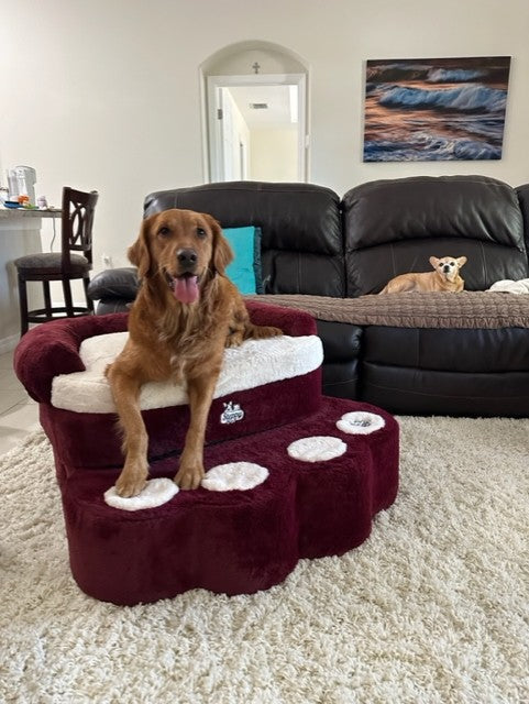 Big Paw - Step and Bed for Large Dogs