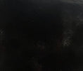 Load image into Gallery viewer, Steppy Bed 5.5- 4 Step Paw
