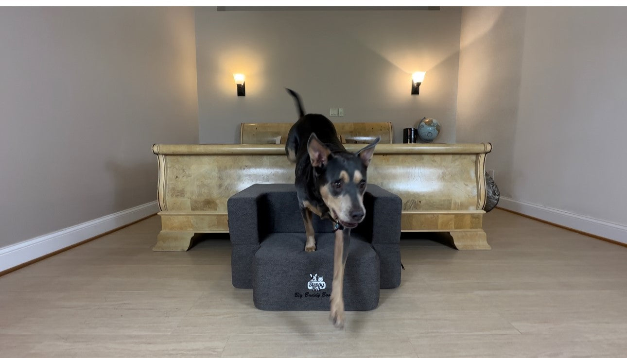 Preorder now Big Buddy Booster  2 Step -WITHOUT LUXURY BED TOPPER