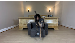 Preorder now Big Buddy Booster  2 Step -WITHOUT LUXURY BED TOPPER