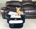 Load image into Gallery viewer, Buddy Lounger
