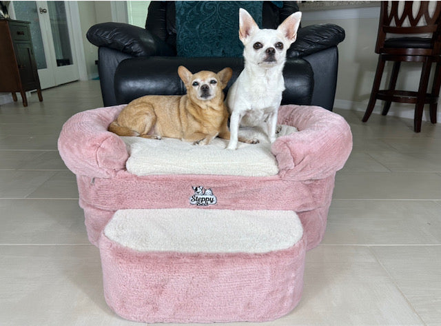 Buddy Lounger